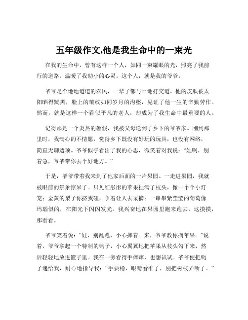 五年级作文,他是我生命中的一束光