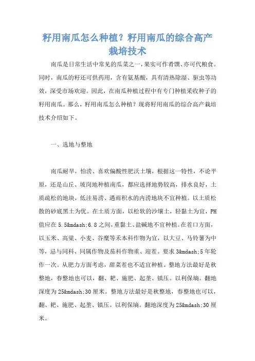 籽用南瓜怎么种植？籽用南瓜的综合高产栽培技术
