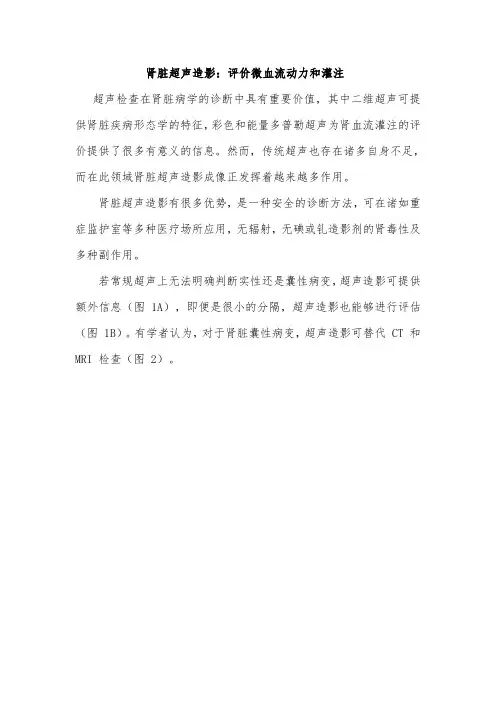 肾脏超声造影