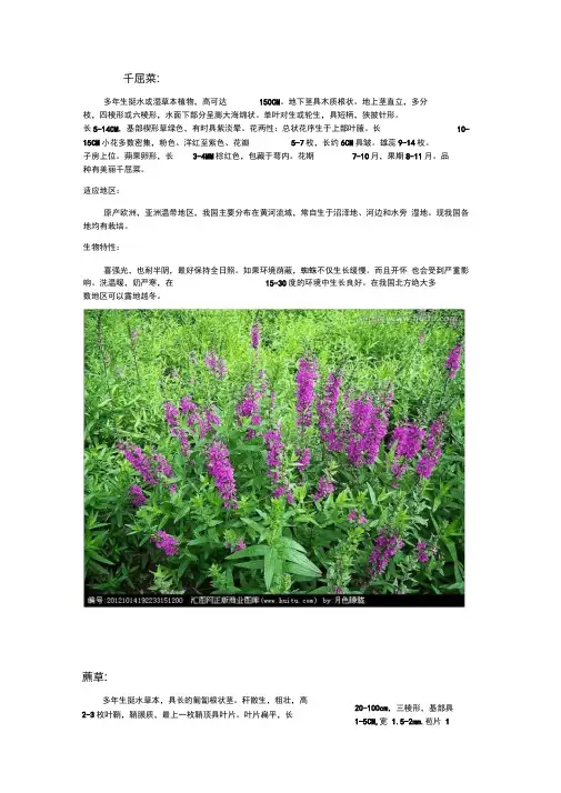 北方常用水生植物和花卉