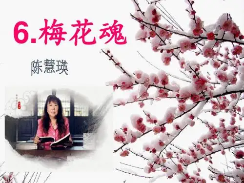 6.梅花魂(完美版)