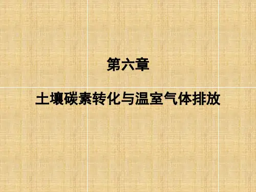 第六章 土壤碳素转化与温室气体排放