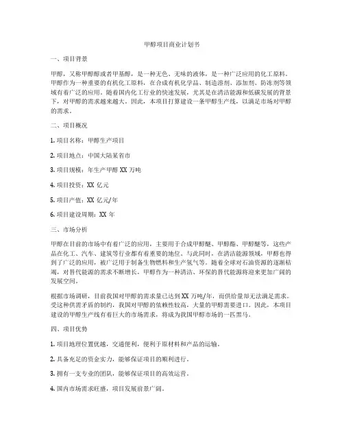 甲醇项目商业计划书