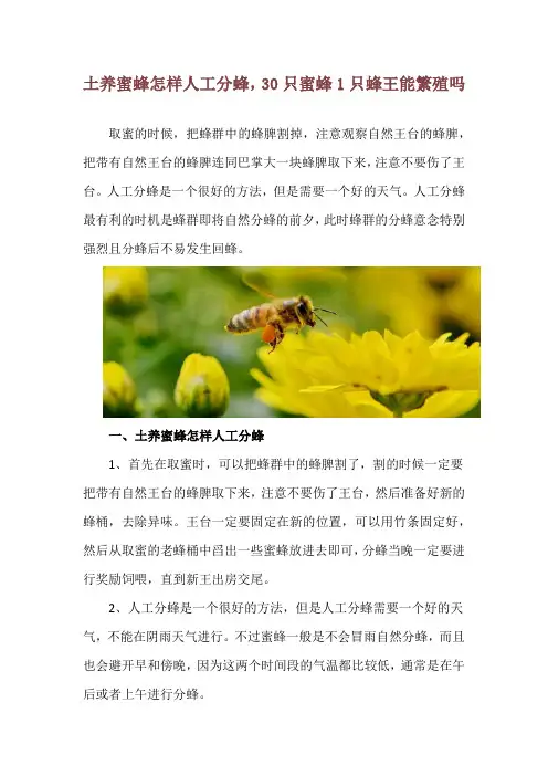 土养蜜蜂怎样人工分蜂,30只蜜蜂1只蜂王能繁殖吗