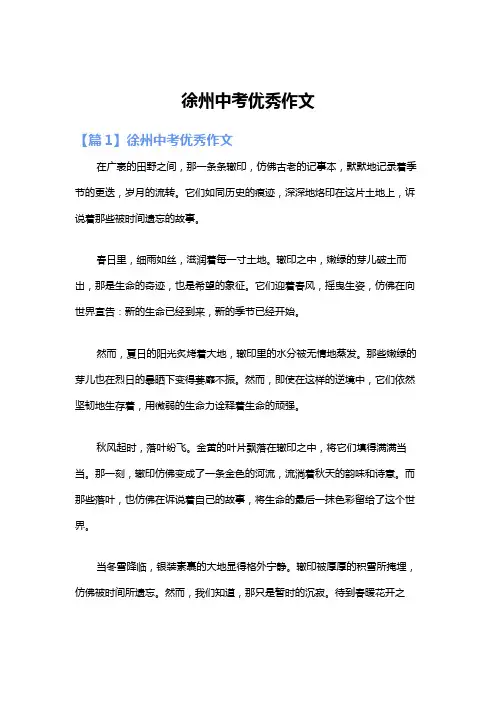 徐州中考优秀作文