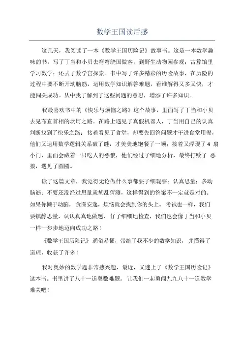数学王国读后感