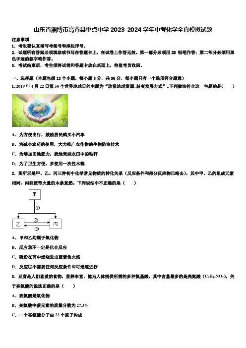 山东省淄博市高青县重点中学2023-2024学年中考化学全真模拟试题含解析