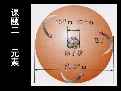 就是具有相同核电荷数(即核内质子数)的一类原子的总称