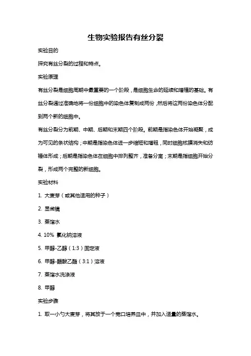 生物实验报告有丝分裂