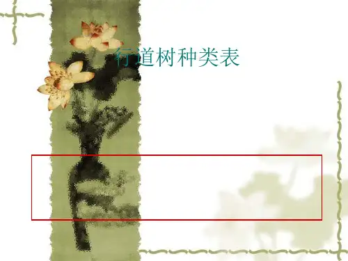 行道树种类表