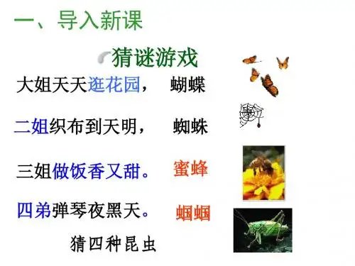 绿色蝈蝈PPT