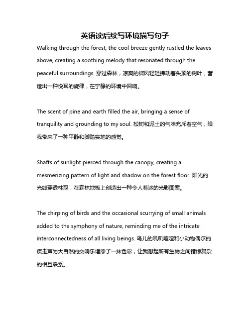 英语读后续写环境描写句子