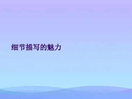 细节描写的魅力.2021优秀PPT文档