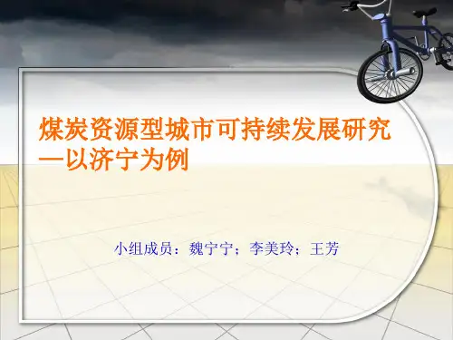 煤炭资源型城市可持续发展研究PPT精品文档49页
