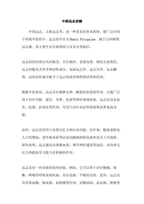 中药远志讲解