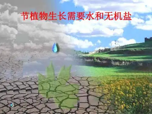 植物生长需要水和无机盐PPT课件1