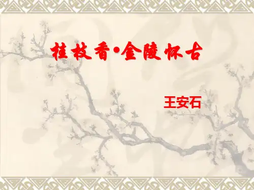 (完整版)《桂枝香-金陵怀古》ppt课件