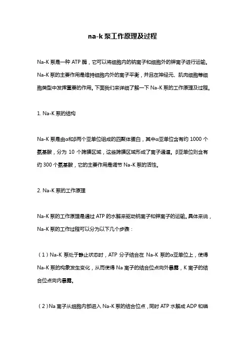 na-k泵工作原理及过程