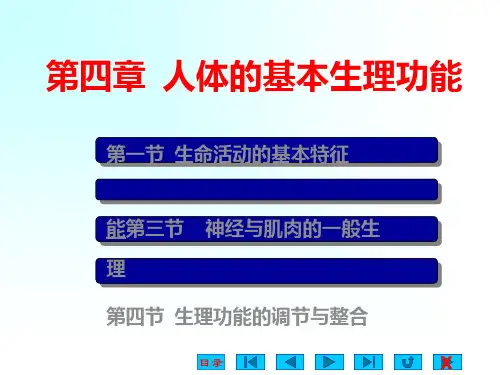 生理学 第4章 人体的基本生理活动