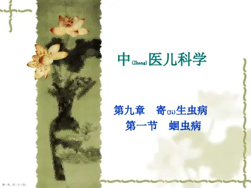 蛔虫病临床辨证论治ppt完整版