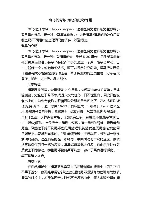 海马的介绍海马的功效作用