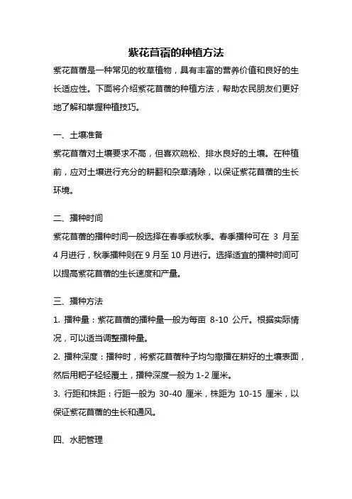 紫花苜蓿的种植方法
