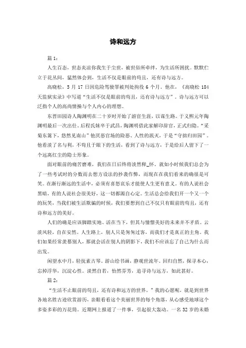 诗和远方作文800字范文