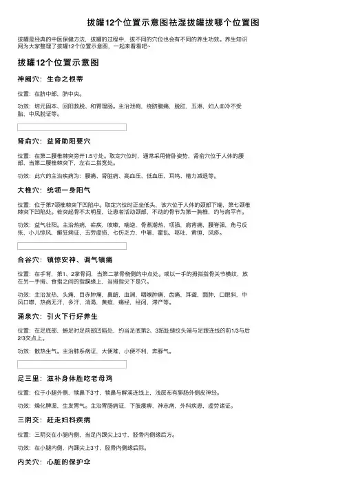 拔罐12个位置示意图祛湿拔罐拔哪个位置图