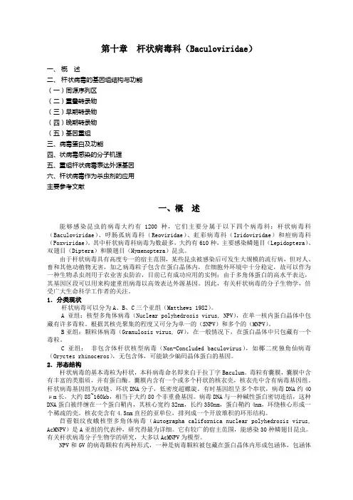 第02章病毒的分类与命名.