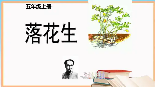 统编版五年级语文上册2《落花生》课件(共24张PPT)
