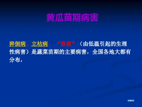 黄瓜病虫害各类与防治方法.pptx