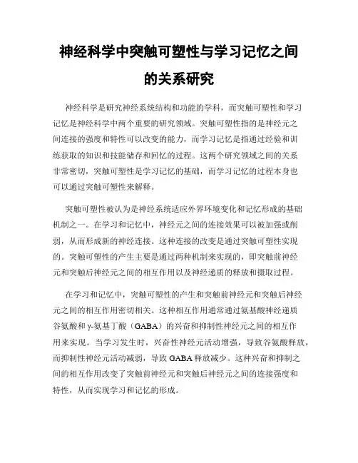 神经科学中突触可塑性与学习记忆之间的关系研究
