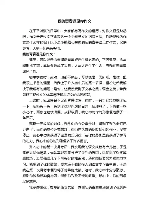 我的青春遇见你作文2篇