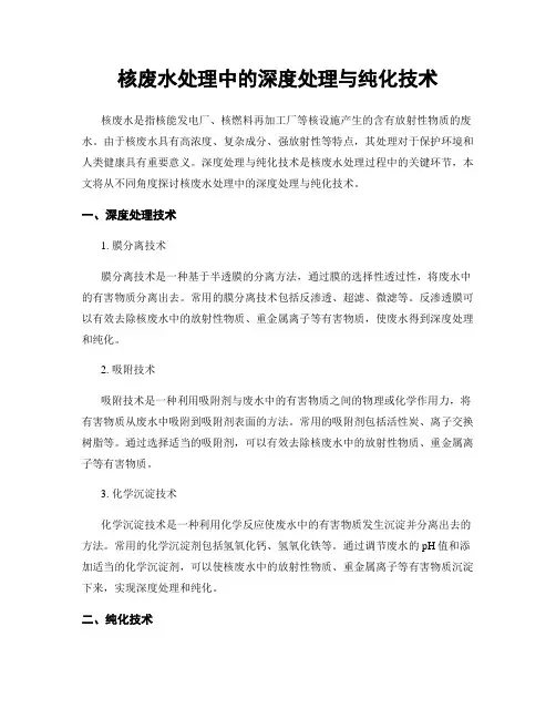 核废水处理中的深度处理与纯化技术
