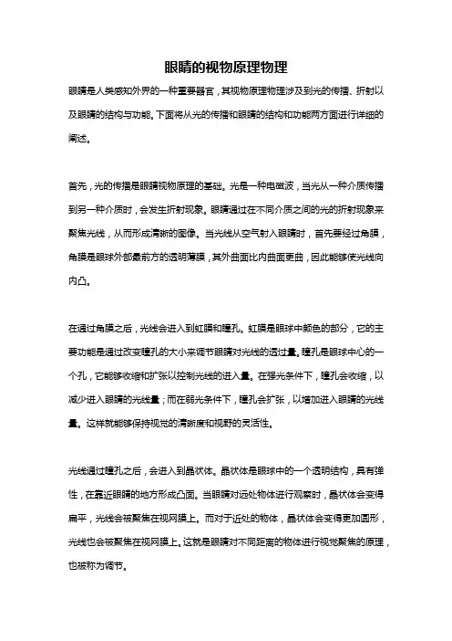 眼睛的视物原理物理