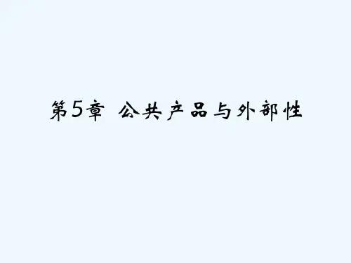 公共产品的特性与外部性及其矫正