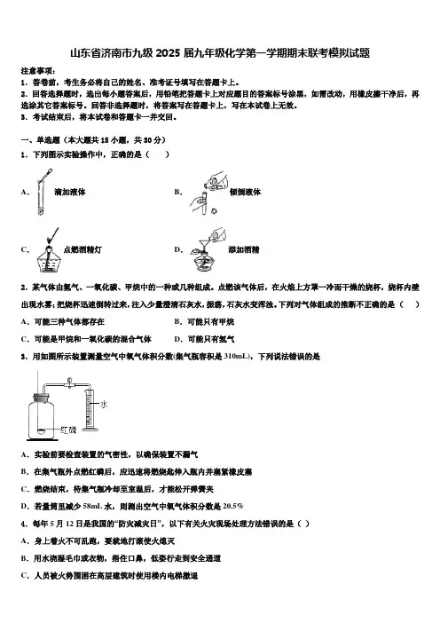 山东省济南市九级2025届九年级化学第一学期期末联考模拟试题含解析