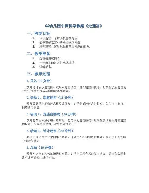 年幼儿园中班科学教案教案《走迷宫》