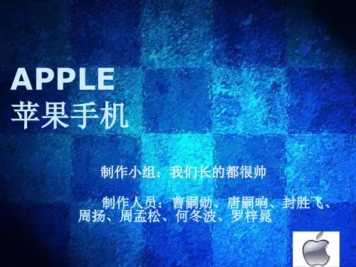 苹果营销调研PPT