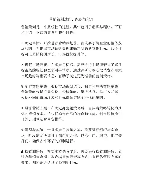 营销策划过程、组织与程序
