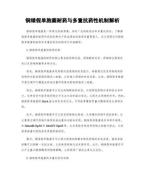 铜绿假单胞菌耐药与多重抗药性机制解析