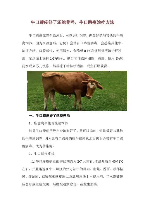 牛口蹄疫好了还能养吗,牛口蹄疫治疗方法