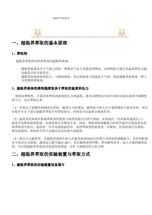 SFE流程,控制因素