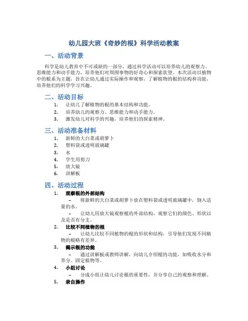 幼儿园大班《奇妙的根》科学活动教案