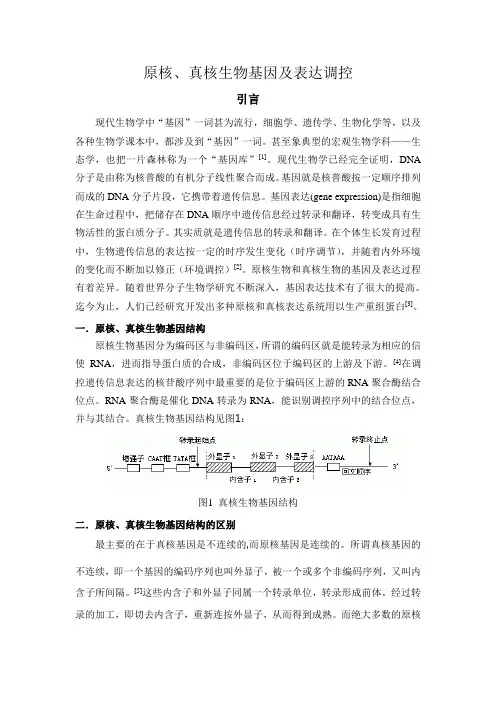 原核、真核生物基因及表达调控