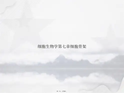 细胞生物学第七章细胞骨架讲课文档