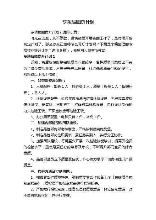 专项技能提升计划