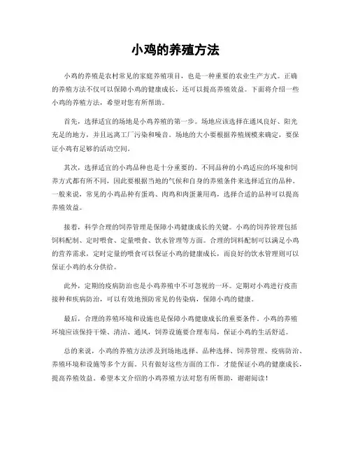 小鸡的养殖方法