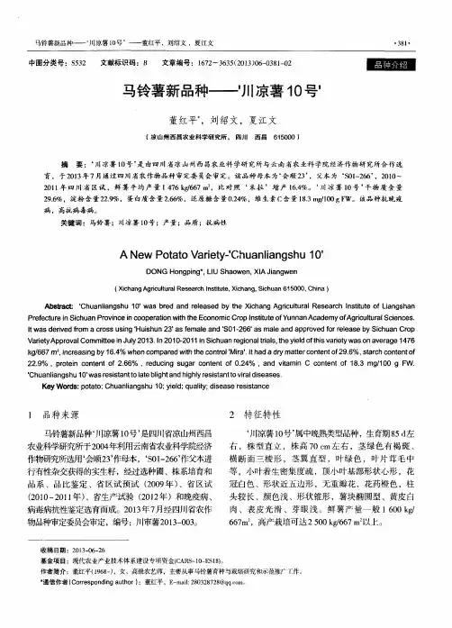 马铃薯新品种--“川凉薯10号”