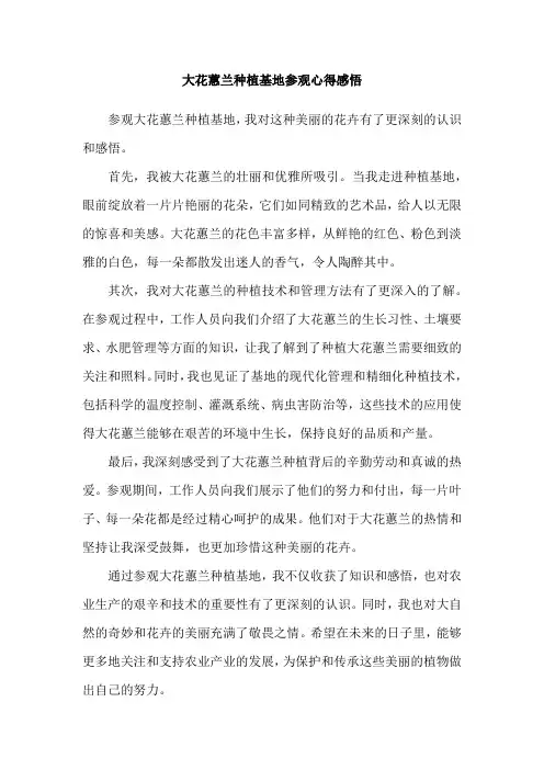 大花蕙兰种植基地参观心得感悟